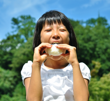 恋せよ、オトメ。食せよ、おコメ。